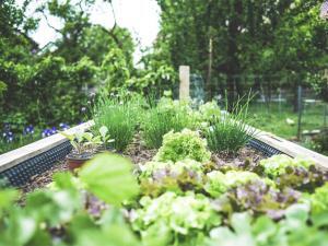 Creative ideas to grow your small space garden