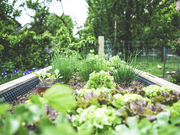 Creative ideas to grow your small space garden
