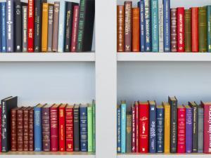 Creative ideas to store and display your book collection, featuring stylish shelving options, decorative bookends, and unique arrangements that showcase books as art while maintaining easy access for reading.
