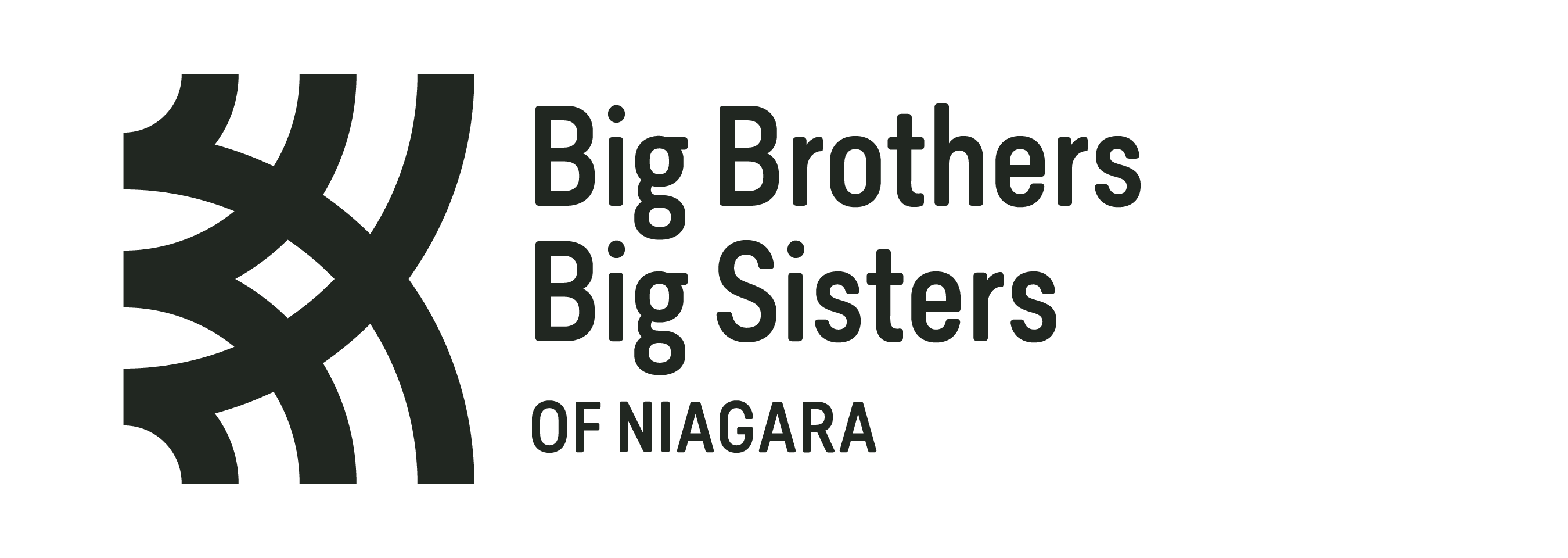 Vaultra Storage is proud to partner with Big Brothers Big Sisters of Niagara!