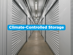 Clean climate-controlled storage unit interior at Vaultra Storage